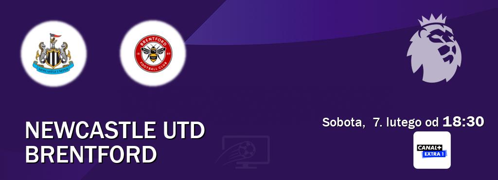 Gra między Newcastle Utd i Brentford transmisja na żywo w Canal+ Extra 1 (sobota,  7. lutego od  18:30).