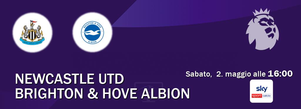 Il match Newcastle Utd - Brighton & Hove Albion sarà trasmesso in diretta TV su Sky Sport Calcio (ore 16:00)