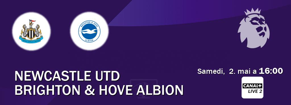 Match entre Newcastle Utd et Brighton & Hove Albion en direct à la Canal+ Live 2 (samedi,  2. mai a  16:00).