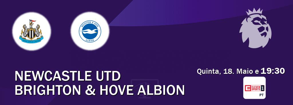 Jogo entre Newcastle Utd e Brighton & Hove Albion tem emissão Eleven Sports 1 (Quinta, 18. Maio e  19:30).