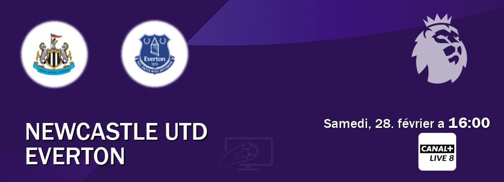 Match entre Newcastle Utd et Everton en direct à la Canal+ Live 8 (samedi, 28. février a  16:00).