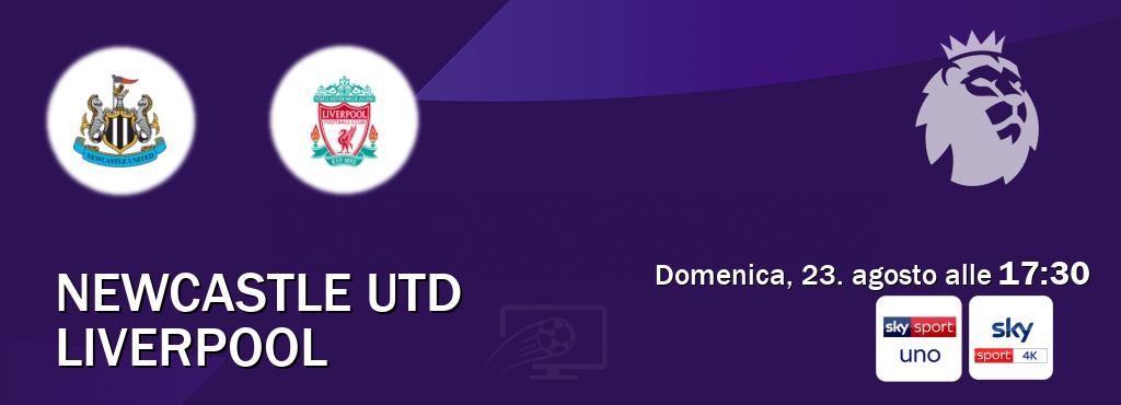 Il match Newcastle Utd - Liverpool sarà trasmesso in diretta TV su Sky Sport Uno e Sky Sport 4K (ore 17:30)