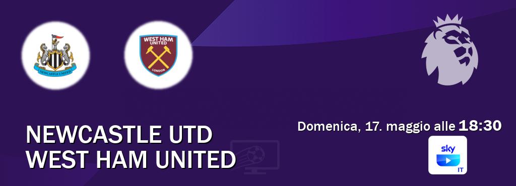 Il match Newcastle Utd - West Ham United sarà trasmesso in diretta TV su SKY Go Italia (ore 18:30)