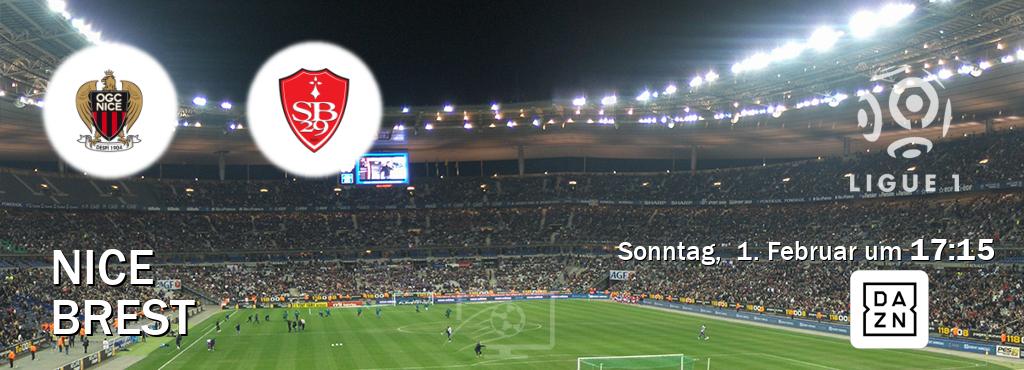 Das Spiel zwischen Nice und Brest wird am Sonntag,  1. Februar um  17:15, live vom DAZN übertragen.