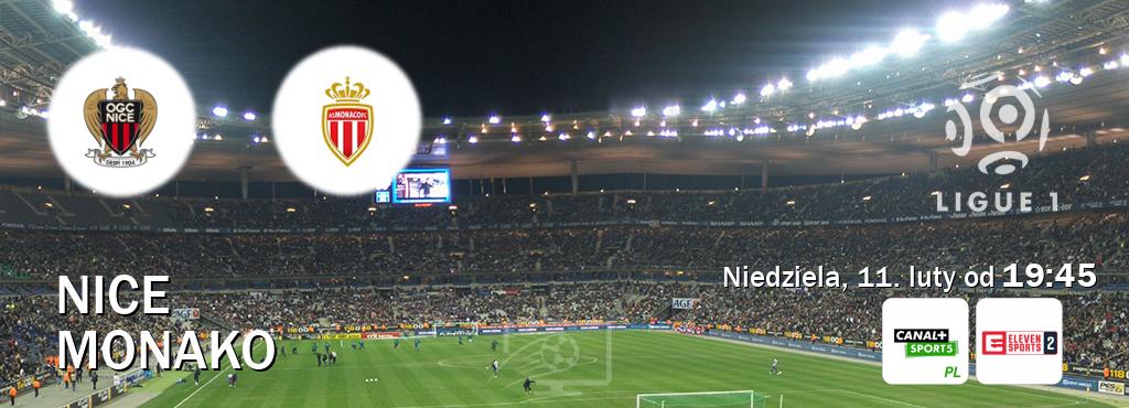 Gra między Nice i Monako transmisja na żywo w Canal+ Sport 5 i Eleven Sports 2 (niedziela, 11. luty od  19:45).