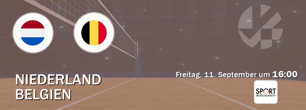Das Spiel zwischen Niederland und Belgien wird am Freitag, 11. September um  16:00, live vom Sportdeutschland.TV übertragen.