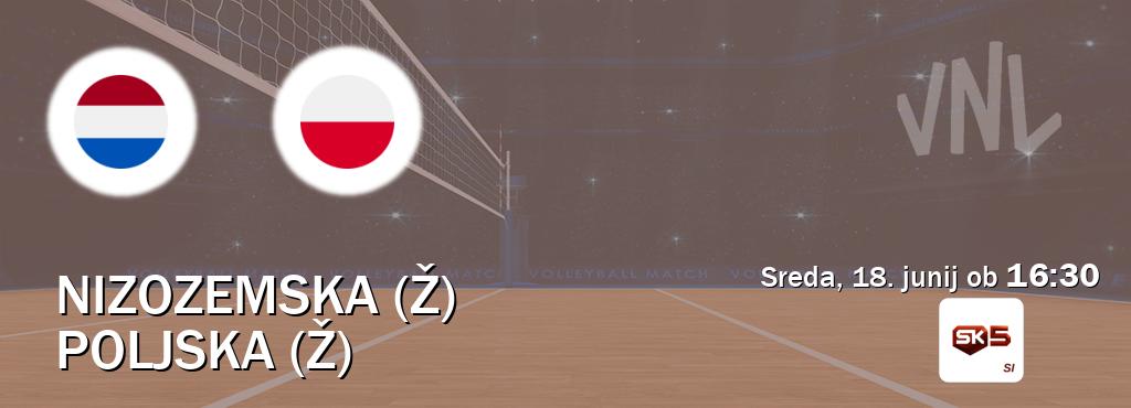 Prenos tekme med Nizozemska (Ž) in Poljska (Ž) v živo na Sportklub 5 (sreda, 18. junij ob  16:30 uri).