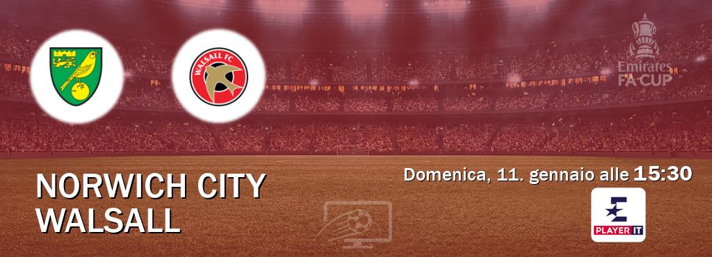 Il match Norwich City - Walsall sarà trasmesso in diretta TV su Eurosport Player IT (ore 15:30)
