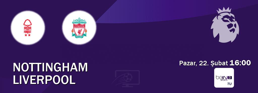 Karşılaşma Nottingham - Liverpool beIN SPORTS 3'den canlı yayınlanacak (Pazar, 22. Şubat 16:00). Karşılaşma Nottingham - Liverpool beIN SPORTS 3'den canlı yayınlanacak (Pazar, 22. Şubat 16:00).