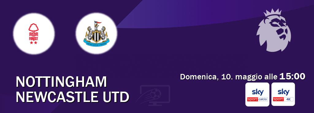 Il match Nottingham - Newcastle Utd sarà trasmesso in diretta TV su Sky Sport Calcio e Sky Sport 4K (ore 15:00)