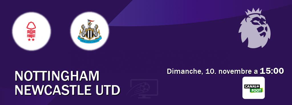 Match entre Nottingham et Newcastle Utd en direct à la Canal+ Foot (dimanche, 10. novembre a  15:00).