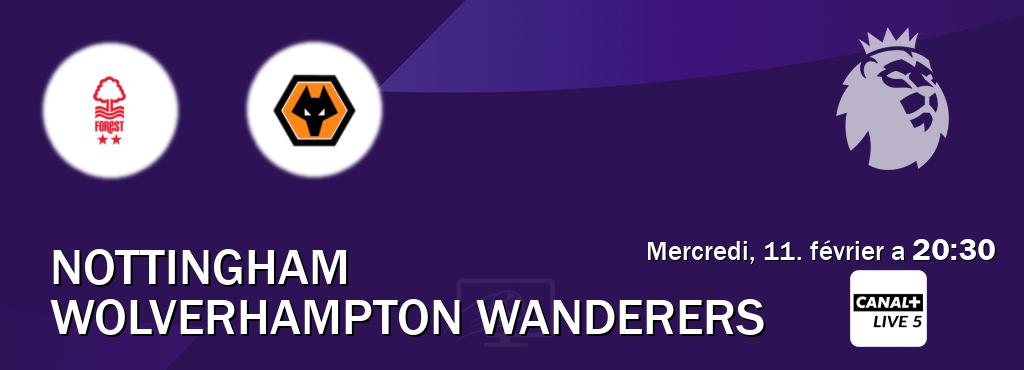 Match entre Nottingham et Wolverhampton Wanderers en direct à la Canal+ Live 5 (mercredi, 11. février a  20:30).