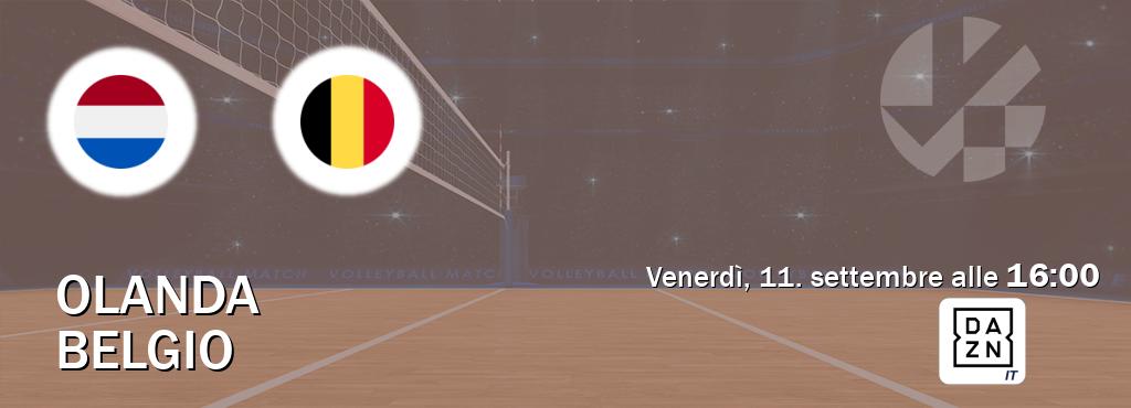 Il match Olanda - Belgio sarà trasmesso in diretta TV su DAZN Italia (ore 16:00)