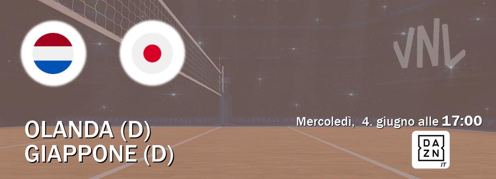 Il match Olanda (D) - Giappone (D) sarà trasmesso in diretta TV su DAZN Italia (ore 17:00)