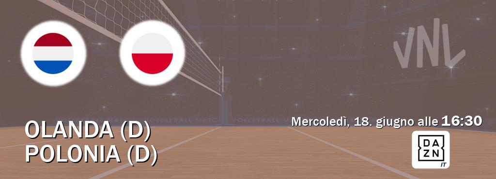 Il match Olanda (D) - Polonia (D) sarà trasmesso in diretta TV su DAZN Italia (ore 16:30)
