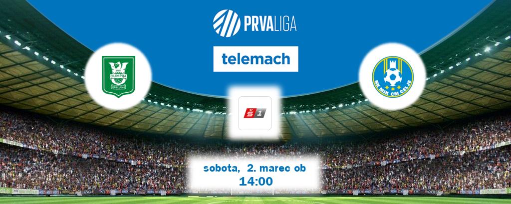Prenos tekme med Olimpija Ljubljana in Celje v živo na Sport TV 1 (sobota,  2. marec ob  14:00 uri).