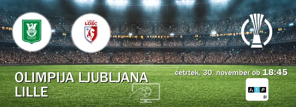 Dvoboj Olimpija Ljubljana in Lille s prenosom tekme v živo na Arena Sport Premium.
