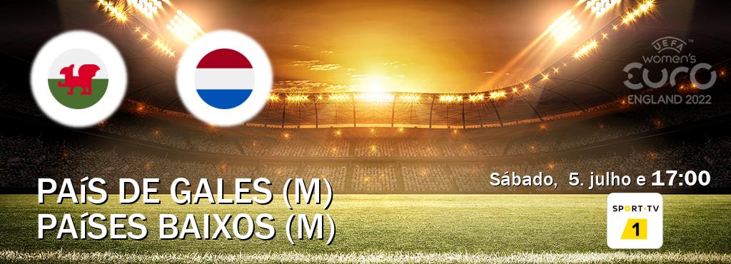 Jogo entre País de Gales (M) e Países Baixos (M) tem emissão Sport TV 1 (sábado,  5. julho e  17:00).