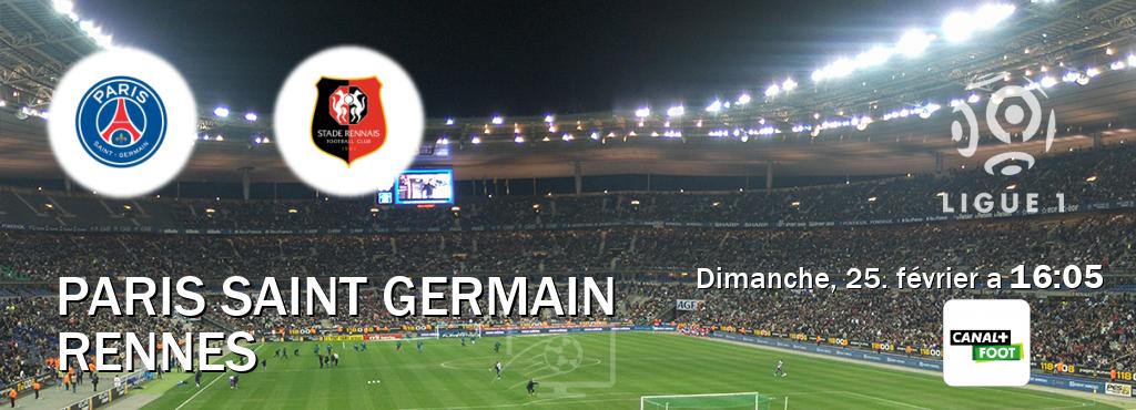 Match entre Paris Saint Germain et Rennes en direct à la Canal+ Foot (dimanche, 25. février a  16:05).