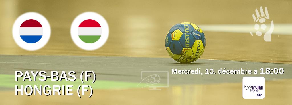 Match entre Pays-Bas (F) et Hongrie (F) en direct à la beIN Sports 1 (mercredi, 10. décembre a  18:00).