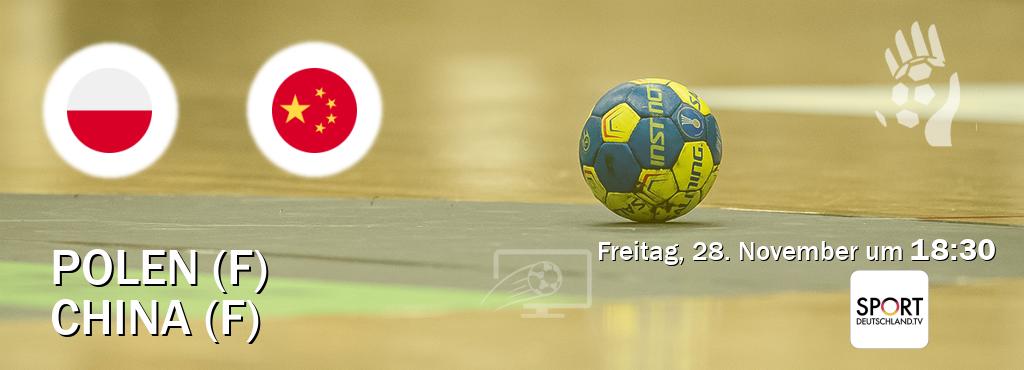 Das Spiel zwischen Polen (F) und China (F) wird am Freitag, 28. November um  18:30, live vom Sportdeutschland.TV übertragen.