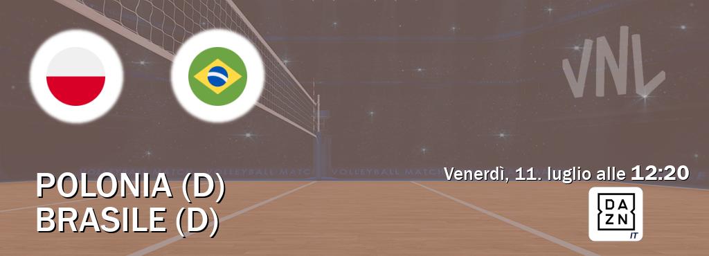 Il match Polonia (D) - Brasile (D) sarà trasmesso in diretta TV su DAZN Italia (ore 12:20)