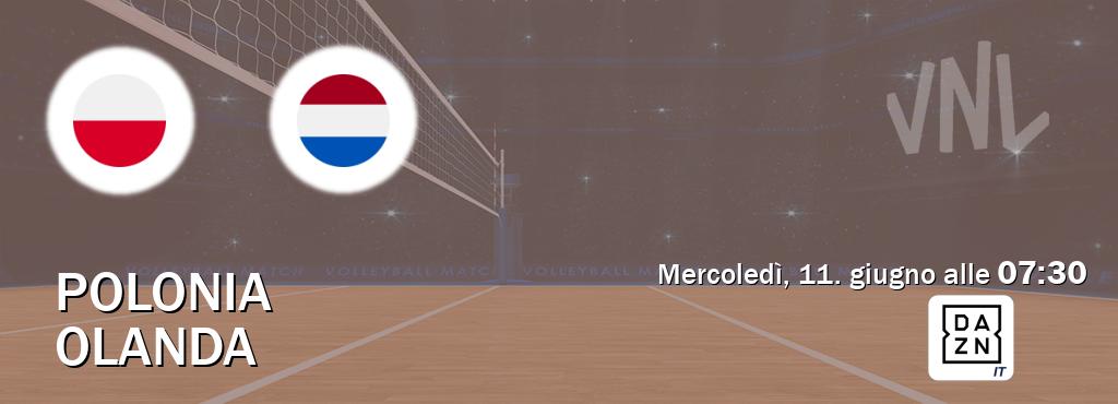 Il match Polonia - Olanda sarà trasmesso in diretta TV su DAZN Italia (ore 07:30)