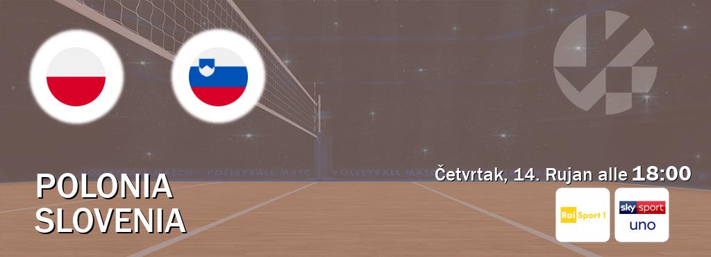 Il match Polonia - Slovenia sarà trasmesso in diretta TV su Rai Sport e Sky Sport Uno (ore 18:00)