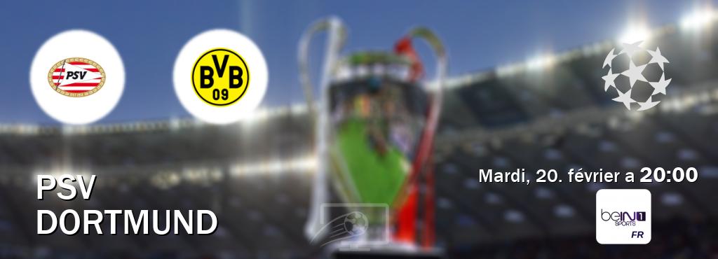 Match entre PSV et Dortmund en direct à la beIN Sports 1 (mardi, 20. février a  20:00).
