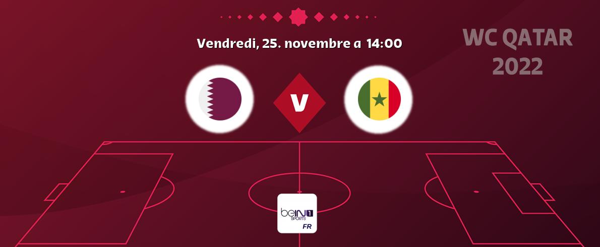 Match entre Qatar et Sénégal en direct à la beIN Sports 1 (vendredi, 25. novembre a  14:00).