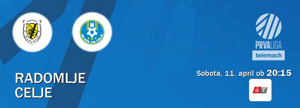 Dvoboj Radomlje in Celje s prenosom tekme v živo na Sport TV 1.
