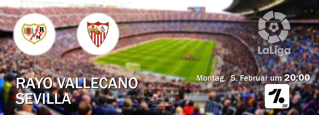Das Spiel zwischen Rayo Vallecano und Sevilla wird am Montag,  5. Februar um  20:00, live vom OneFootball Deutschland übertragen.