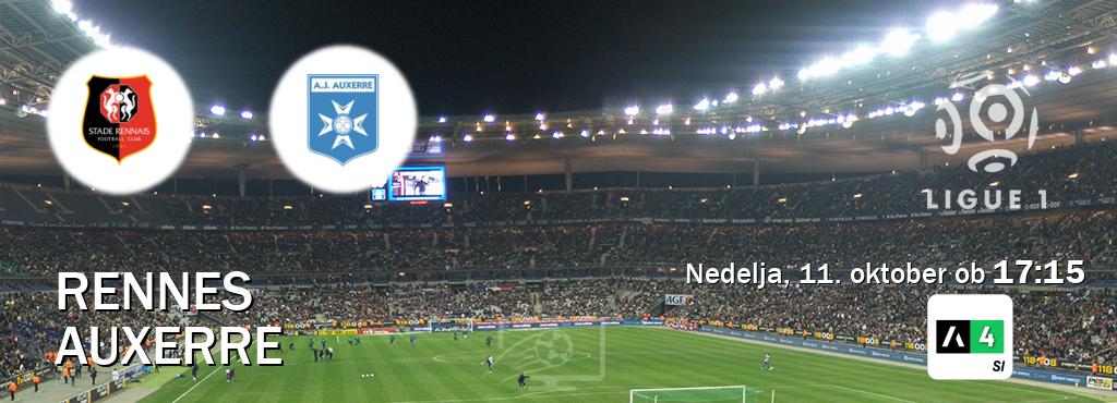 Rennes in Auxerre v živo na Arena Sport 4. Prenos tekme bo v nedelja, 11. oktober ob  17:15