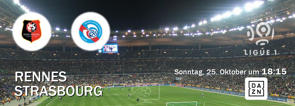 Das Spiel zwischen Rennes und Strasbourg wird am Sonntag, 25. Oktober um 18:15, live vom DAZN übertragen. Das Spiel zwischen Rennes und Strasbourg wird am Sonntag, 25. Oktober um 18:15, live vom DAZN übertragen.