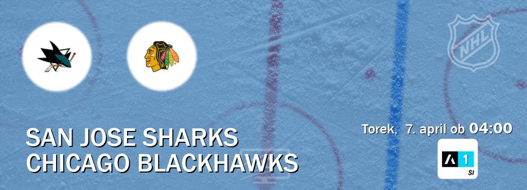 Ne zamudi prenosa tekme San Jose Sharks - Chicago Blackhawks v živo na Arena Sport 1.