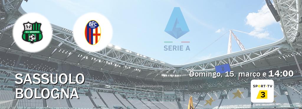 Jogo entre Sassuolo e Bologna tem emissão Sport TV 3 (domingo, 15. março e  14:00).
