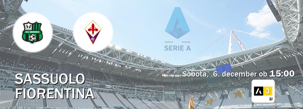 Prenos tekme med Sassuolo in Fiorentina v živo na Arena Sport 3 (sobota,  6. december ob  15:00 uri).