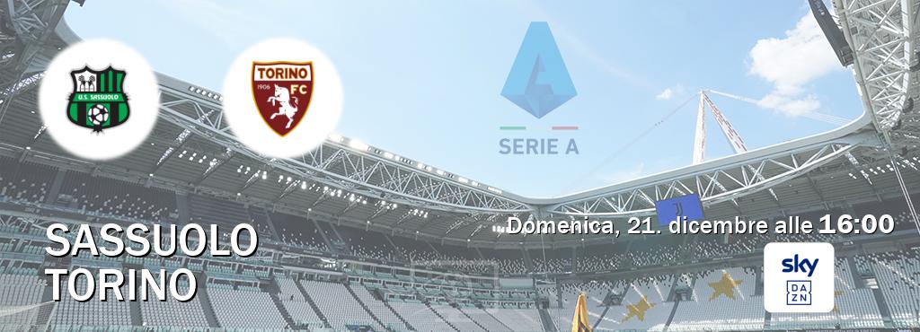 Il match Sassuolo - Torino sarà trasmesso in diretta TV su Sky Sport Bar (ore 16:00)