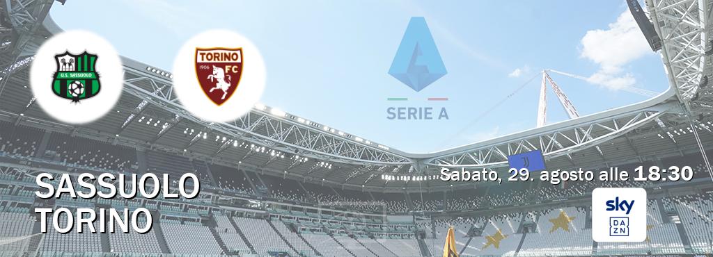 Il match Sassuolo - Torino sarà trasmesso in diretta TV su Sky Sport Bar (ore 18:30) Il match Sassuolo - Torino sarà trasmesso in diretta TV su Sky Sport Bar (ore 18:30)