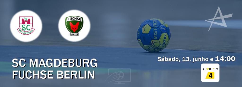 Jogo entre SC Magdeburg e Fuchse Berlin tem emissão Sport TV 4 (sábado, 13. junho e  14:00).