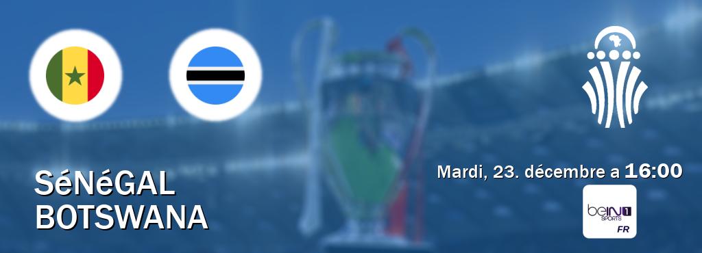 Match entre Sénégal et Botswana en direct à la beIN Sports 1 (mardi, 23. décembre a  16:00).