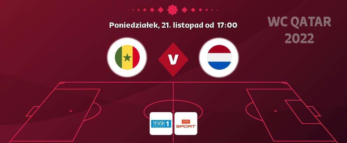 Gra między Senegal i Holandia transmisja na żywo w TVP 1 i TVP Sport (poniedziałek, 21. listopad od  17:00).