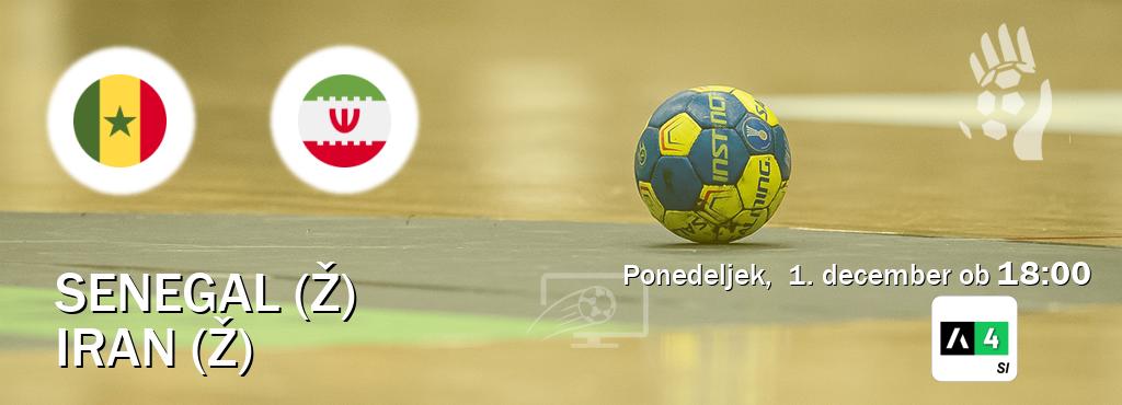 Prenos tekme med Senegal (Ž) in Iran (Ž) v živo na Arena Sport 4 (ponedeljek,  1. december ob  18:00 uri).