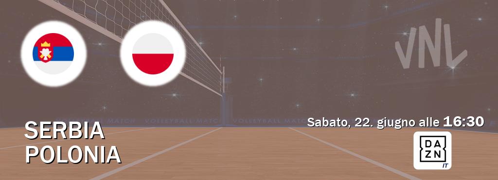 Il match Serbia - Polonia sarà trasmesso in diretta TV su DAZN Italia (ore 16:30)