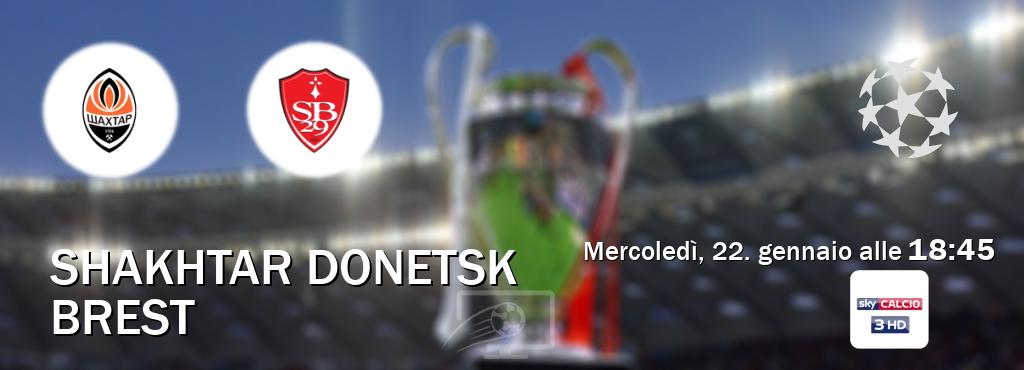 Il match Shakhtar Donetsk - Brest sarà trasmesso in diretta TV su Sky Calcio 3 (ore 18:45)