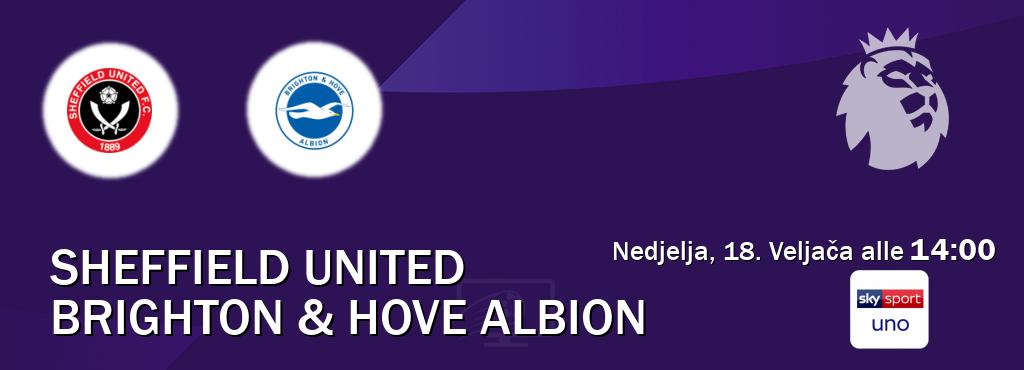Il match Sheffield United - Brighton & Hove Albion sarà trasmesso in diretta TV su Sky Sport Uno (ore 14:00)