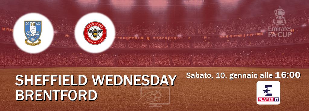 Il match Sheffield Wednesday - Brentford sarà trasmesso in diretta TV su Eurosport Player IT (ore 16:00)