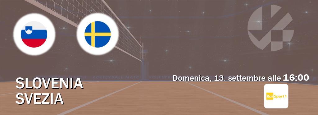 Il match Slovenia - Svezia sarà trasmesso in diretta TV su Rai Sport (ore 16:00)
