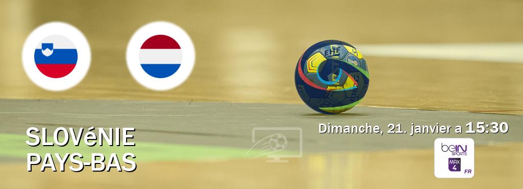 Match entre Slovénie et Pays-Bas en direct à la beIN Sports 4 Max (dimanche, 21. janvier a  15:30).