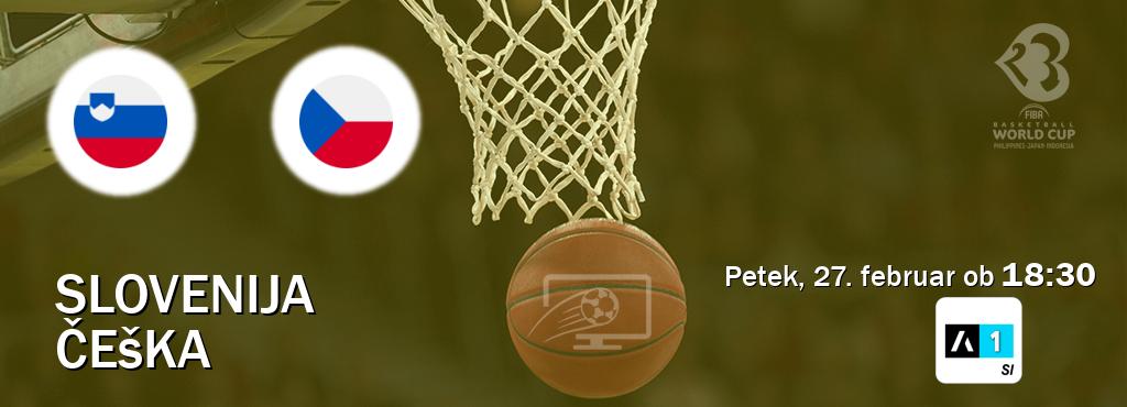 Slovenija in Češka v živo na Arena Sport 1. Prenos tekme bo v petek, 27. februar ob  18:30